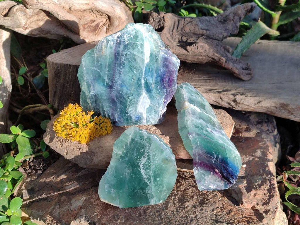 Polished On One Side Watermelon Fluorite Slices x 3 From Uis, Namibia - Toprock Gemstones and Minerals 