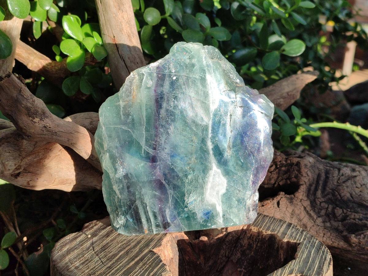 Polished On One Side Watermelon Fluorite Slices x 3 From Uis, Namibia - Toprock Gemstones and Minerals 