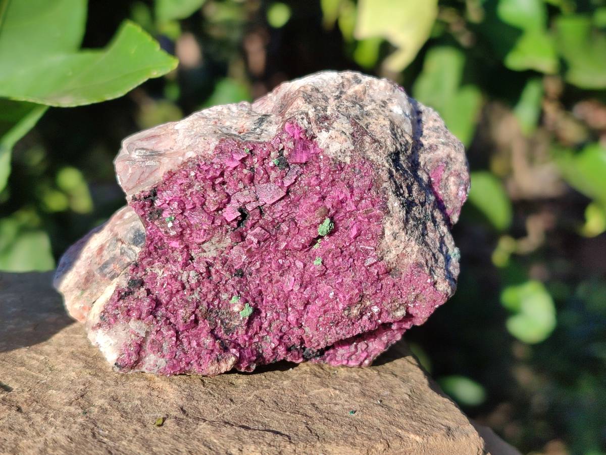 Natural Drusy Salrose with Ball Malachite on Dolomite Matrix Specimens x 6 From Kakanda, Congo - Toprock Gemstones and Minerals 