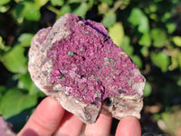 Natural Drusy Salrose with Ball Malachite on Dolomite Matrix Specimens x 6 From Kakanda, Congo - Toprock Gemstones and Minerals 