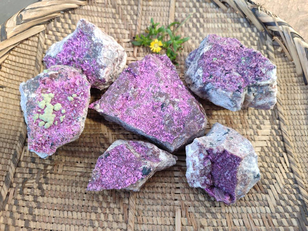 Natural Drusy Salrose with Ball Malachite on Dolomite Matrix Specimens x 6 From Kakanda, Congo