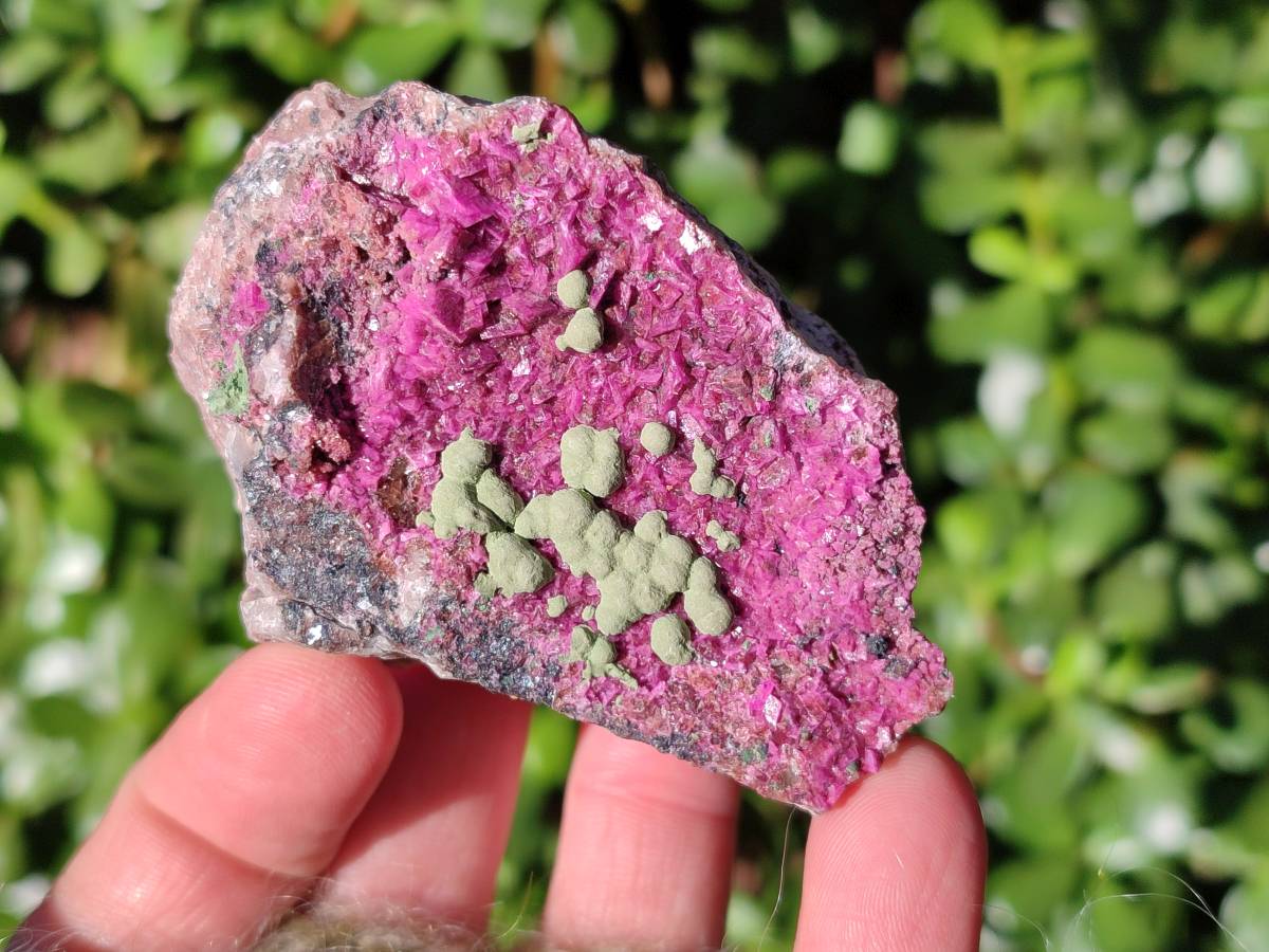 Natural Drusy Salrose with Ball Malachite on Dolomite Matrix Specimens x 6 From Kakanda, Congo - Toprock Gemstones and Minerals 
