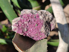 Natural Drusy Salrose with Ball Malachite on Dolomite Matrix Specimens x 6 From Kakanda, Congo - Toprock Gemstones and Minerals 