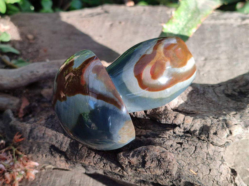 Polished Polychrome Jasper Mushrooms x 6 From Madagascar - Toprock Gemstones and Minerals 