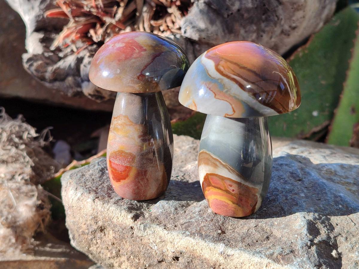 Polished Polychrome Jasper Mushrooms x 6 From Madagascar - Toprock Gemstones and Minerals 