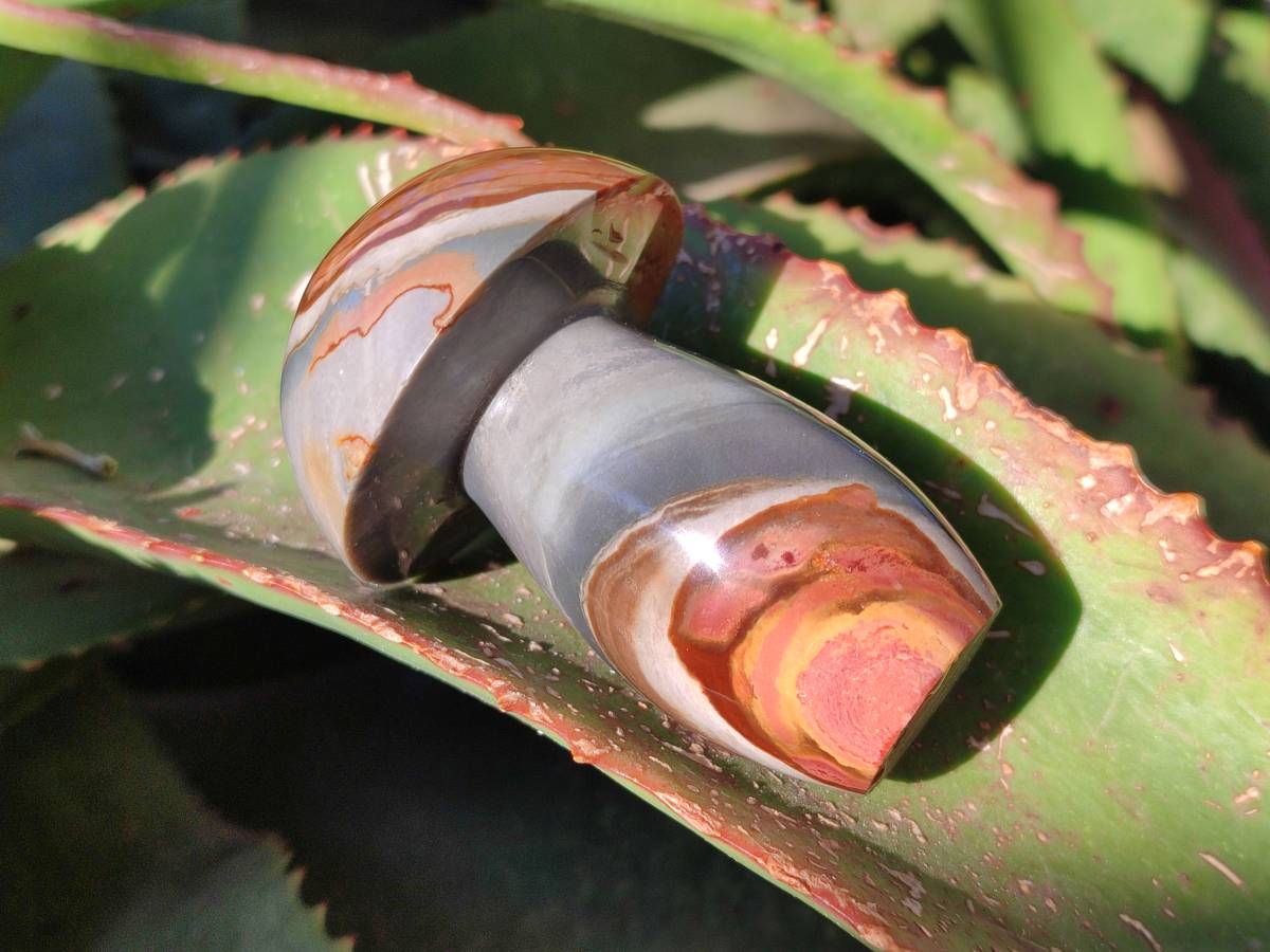 Polished Polychrome Jasper Mushrooms x 6 From Madagascar - Toprock Gemstones and Minerals 