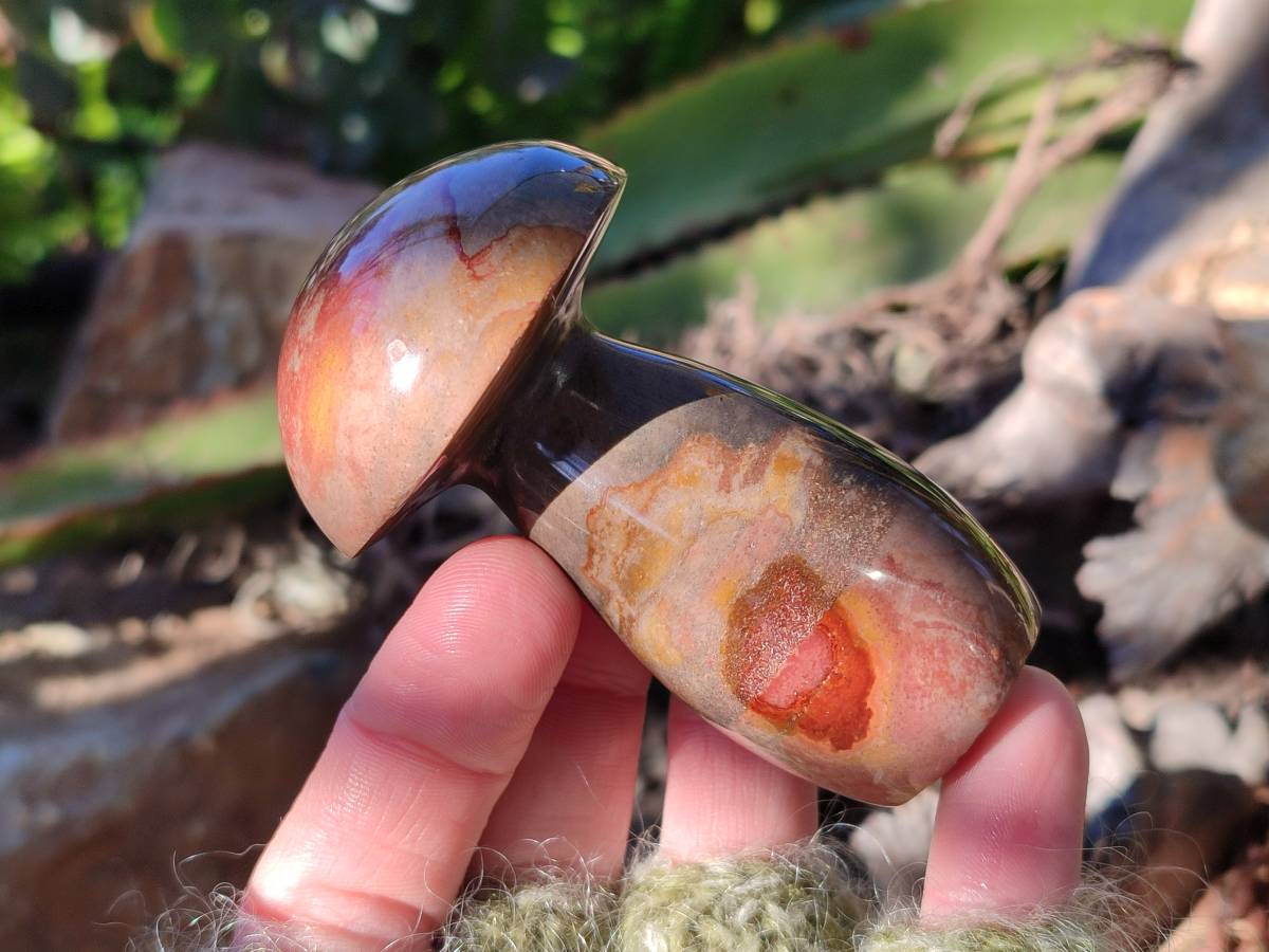 Polished Polychrome Jasper Mushrooms x 6 From Madagascar - Toprock Gemstones and Minerals 