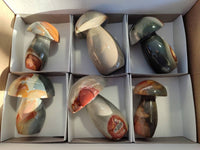 Polished Polychrome Jasper Mushrooms x 6 From Madagascar