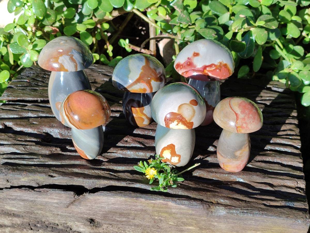 Polished Polychrome Jasper Mushrooms x 6 From Madagascar - Toprock Gemstones and Minerals 