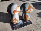 Polished Polychrome Jasper Mushrooms x 6 From Madagascar - Toprock Gemstones and Minerals 