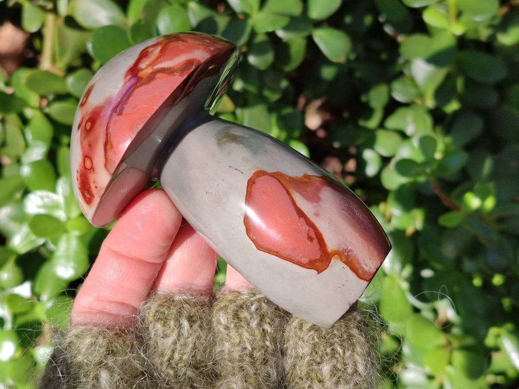 Polished Polychrome Jasper Mushrooms x 6 From Madagascar - Toprock Gemstones and Minerals 