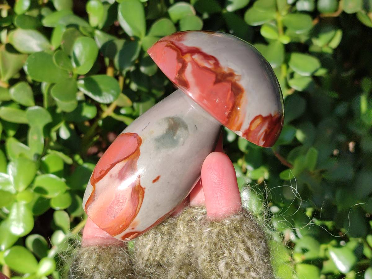 Polished Polychrome Jasper Mushrooms x 6 From Madagascar - Toprock Gemstones and Minerals 