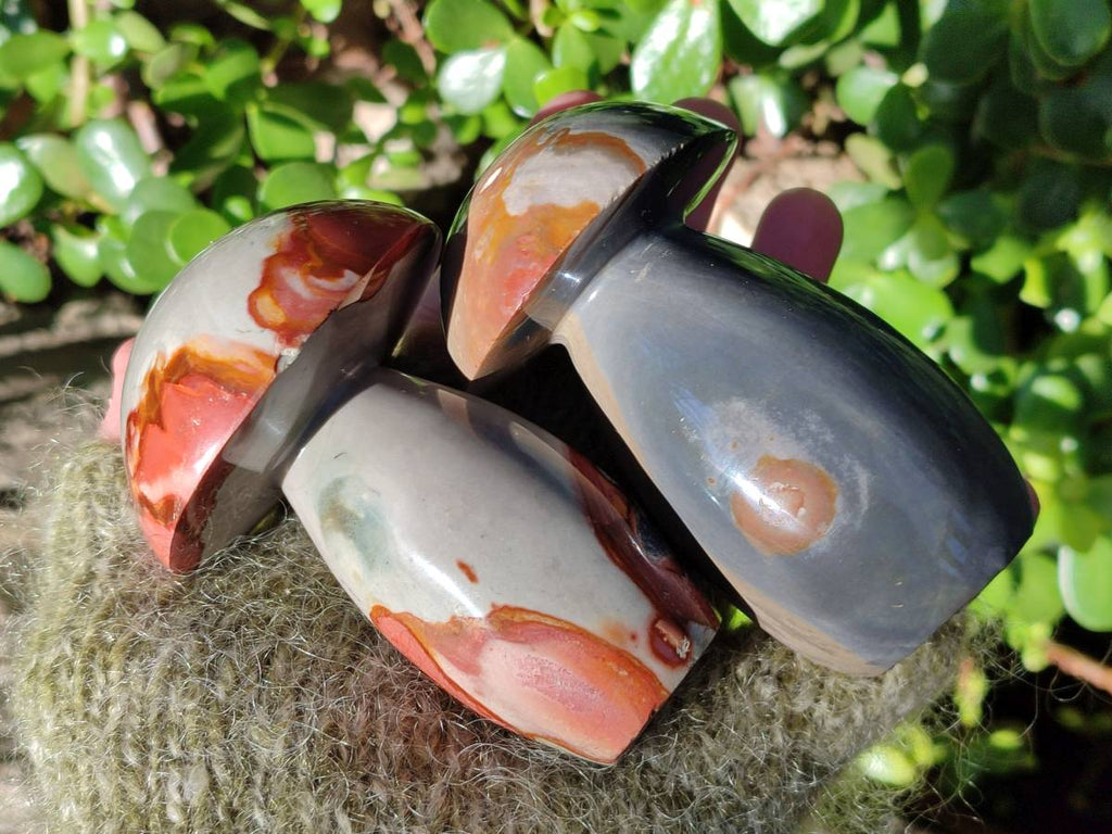 Polished Polychrome Jasper Mushrooms x 6 From Madagascar - Toprock Gemstones and Minerals 