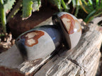 Polished Polychrome Jasper Mushrooms x 6 From Madagascar - Toprock Gemstones and Minerals 