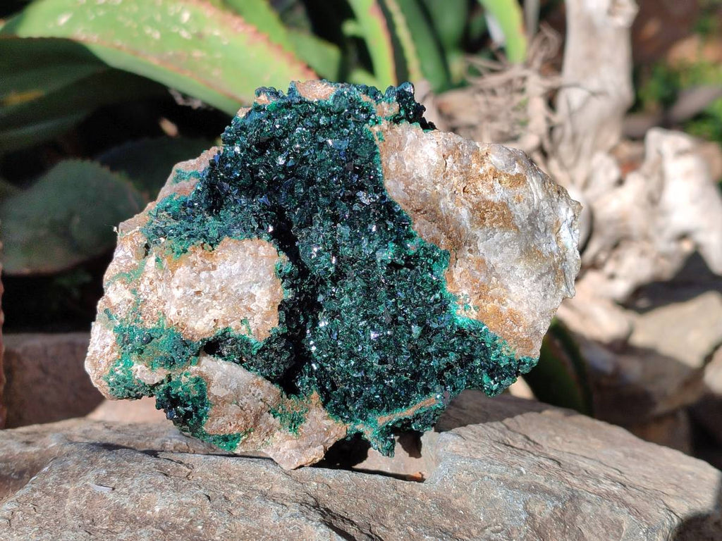 Natural Superb Crystalline Malachite Cabinet Specimens x 2 From Tenke Fungurume, Congo - Toprock Gemstones and Minerals 