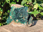 Natural Superb Crystalline Malachite Cabinet Specimens x 2 From Tenke Fungurume, Congo - Toprock Gemstones and Minerals 