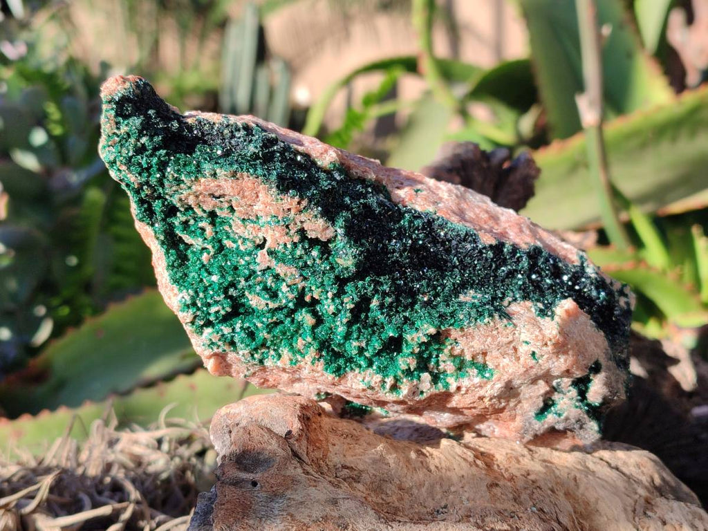 Natural Superb Crystalline Malachite Cabinet Specimens x 2 From Tenke Fungurume, Congo - Toprock Gemstones and Minerals 