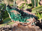 Natural Superb Crystalline Malachite Cabinet Specimens x 2 From Tenke Fungurume, Congo - Toprock Gemstones and Minerals 