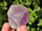 Natural Jacaranda Amethyst Quartz Crystals x 12 From Mumbwa, Zambia - Toprock Gemstones and Minerals 