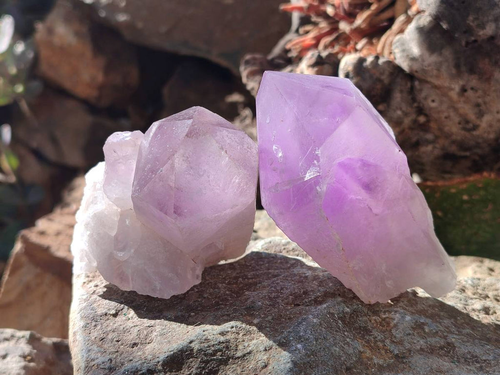 Natural Jacaranda Amethyst Quartz Crystals x 12 From Mumbwa, Zambia - Toprock Gemstones and Minerals 