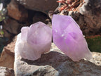 Natural Jacaranda Amethyst Quartz Crystals x 12 From Mumbwa, Zambia - Toprock Gemstones and Minerals 