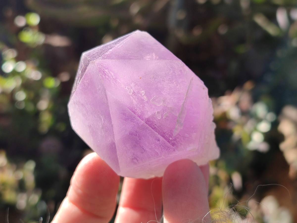 Natural Jacaranda Amethyst Quartz Crystals x 12 From Mumbwa, Zambia - Toprock Gemstones and Minerals 