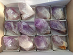 Natural Jacaranda Amethyst Quartz Crystals x 12 From Mumbwa, Zambia - Toprock Gemstones and Minerals 