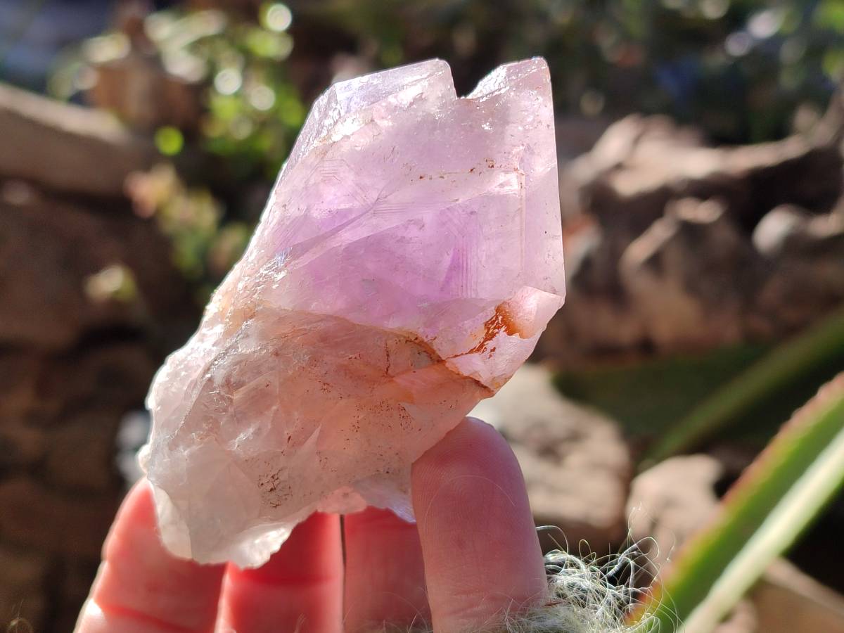 Natural Jacaranda Amethyst Quartz Crystals x 12 From Mumbwa, Zambia - Toprock Gemstones and Minerals 