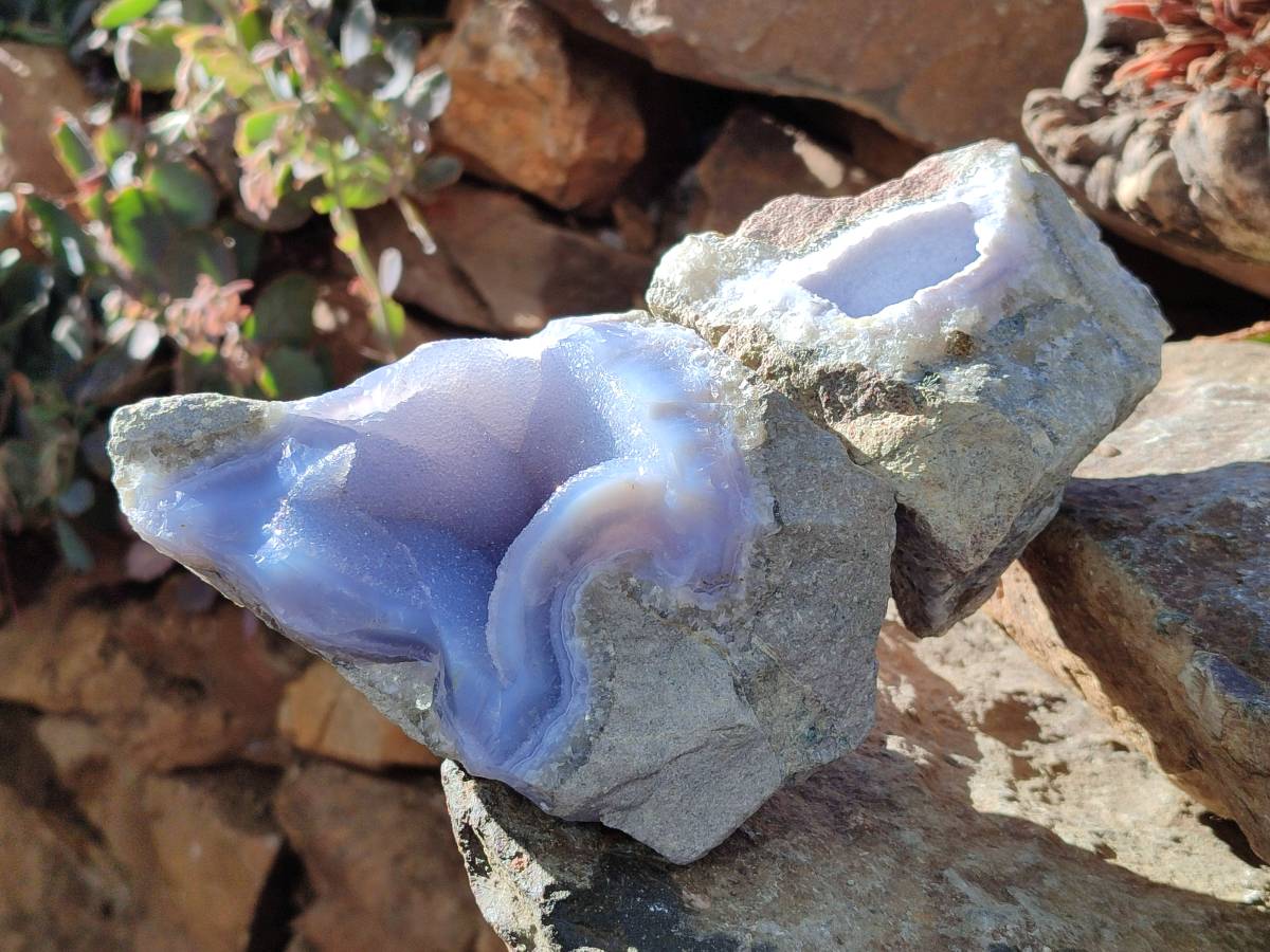 Natural Blue Lace Agate Geode Specimens x 4 From Nsanje, Malawi - Toprock Gemstones and Minerals 