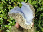 Natural Blue Lace Agate Geode Specimens x 4 From Nsanje, Malawi - Toprock Gemstones and Minerals 