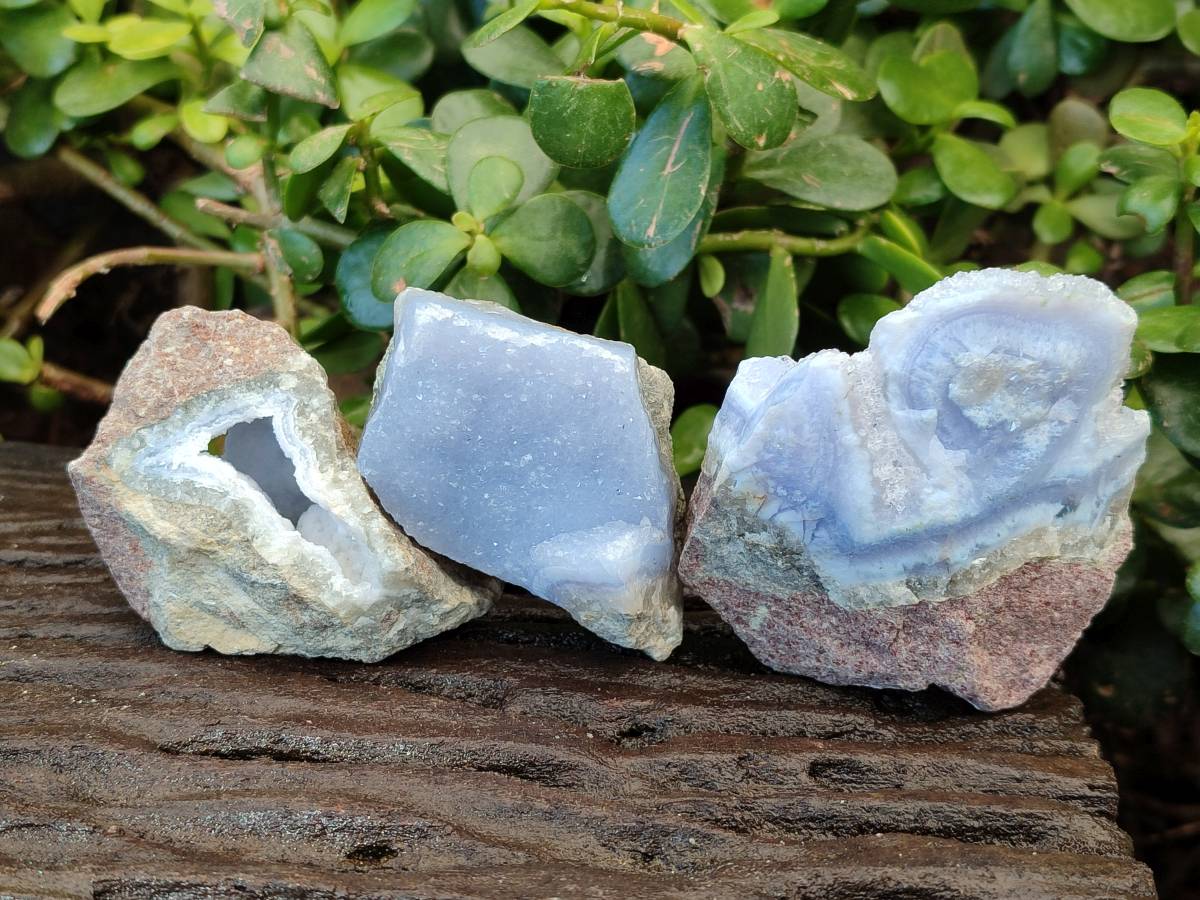 Natural Blue Lace Agate Geode Specimens x 12 From Nsanje, Malawi - Toprock Gemstones and Minerals 