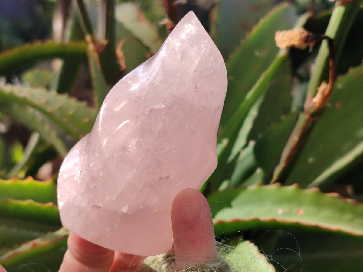 Polished Rose Quartz Flames x 2 From Ambatondrazaka, Madagascar - Toprock Gemstones and Minerals 