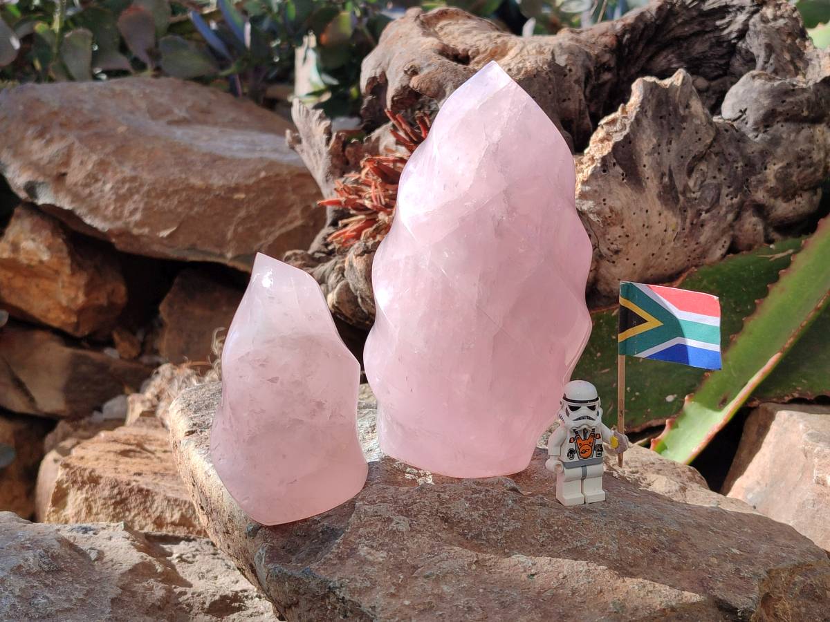 Polished Rose Quartz Flames x 2 From Ambatondrazaka, Madagascar - Toprock Gemstones and Minerals 