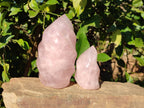 Polished Rose Quartz Flames x 2 From Ambatondrazaka, Madagascar - Toprock Gemstones and Minerals 
