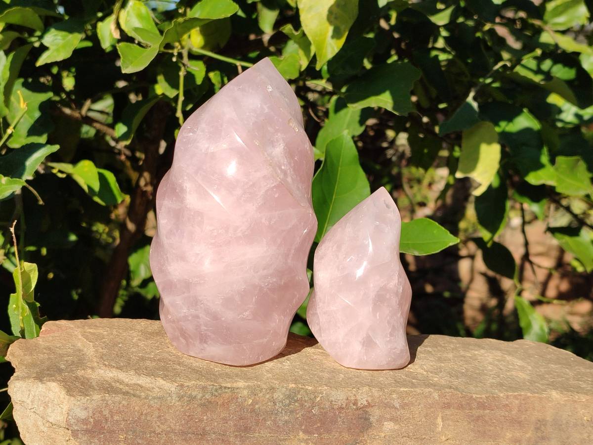 Polished Rose Quartz Flames x 2 From Ambatondrazaka, Madagascar - Toprock Gemstones and Minerals 