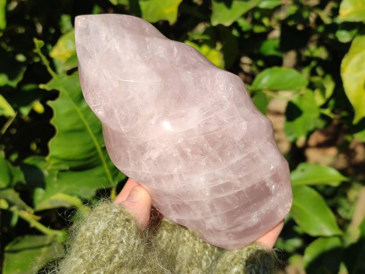 Polished Rose Quartz Flames x 2 From Ambatondrazaka, Madagascar - Toprock Gemstones and Minerals 