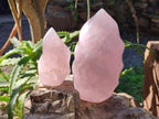 Polished Rose Quartz Flames x 2 From Ambatondrazaka, Madagascar - Toprock Gemstones and Minerals 
