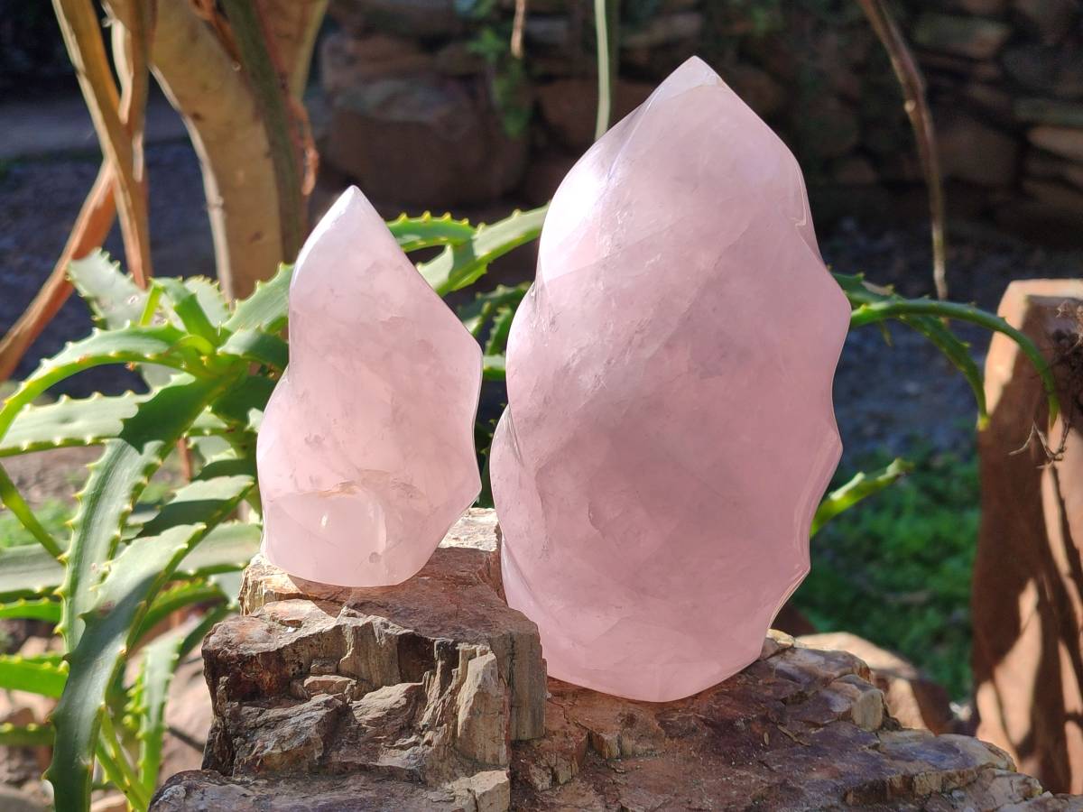 Polished Rose Quartz Flames x 2 From Ambatondrazaka, Madagascar - Toprock Gemstones and Minerals 