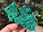 Natural Silky Malachite Specimens x 6 From Kasompe, Congo - Toprock Gemstones and Minerals 