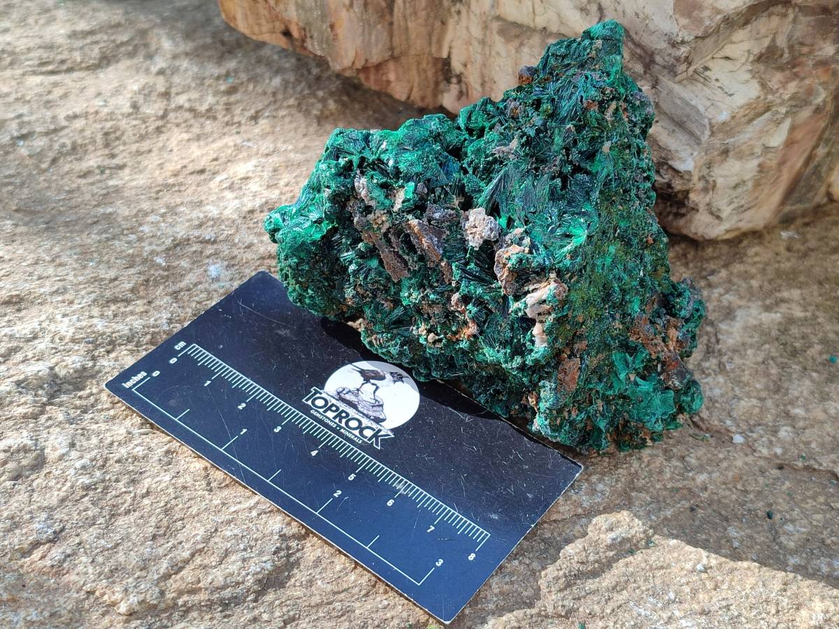 Natural Silky Malachite Specimens x 6 From Kasompe, Congo - Toprock Gemstones and Minerals 