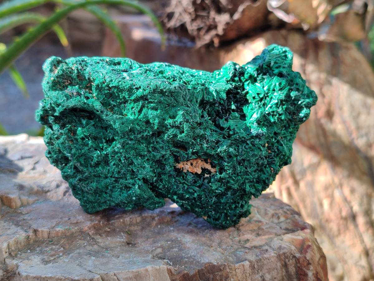 Natural Silky Malachite Specimens x 6 From Kasompe, Congo - Toprock Gemstones and Minerals 