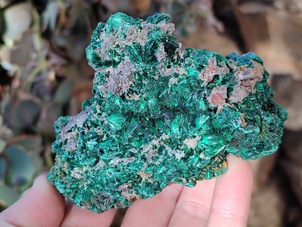 Natural Silky Malachite Specimens x 6 From Kasompe, Congo - Toprock Gemstones and Minerals 