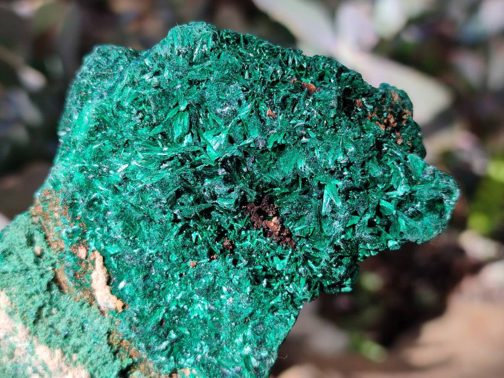 Natural Silky Malachite Specimens x 6 From Kasompe, Congo - Toprock Gemstones and Minerals 