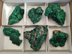 Natural Silky Malachite Specimens x 6 From Kasompe, Congo - Toprock Gemstones and Minerals 