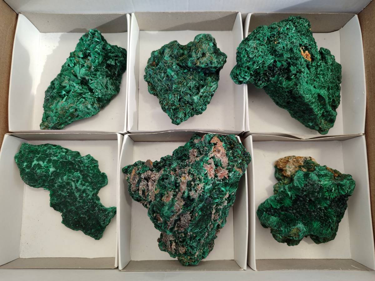 Natural Silky Malachite Specimens x 6 From Kasompe, Congo - Toprock Gemstones and Minerals 
