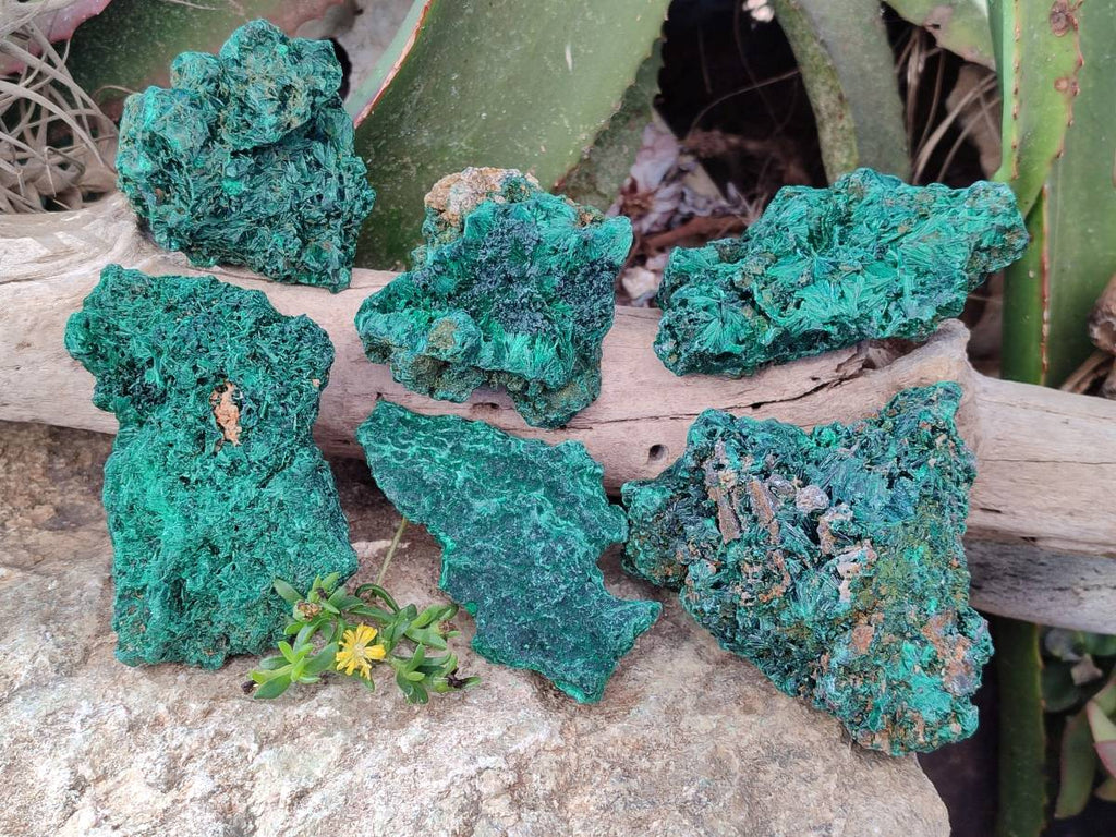 Natural Silky Malachite Specimens x 6 From Kasompe, Congo - Toprock Gemstones and Minerals 