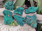 Natural Silky Malachite Specimens x 6 From Kasompe, Congo - Toprock Gemstones and Minerals 