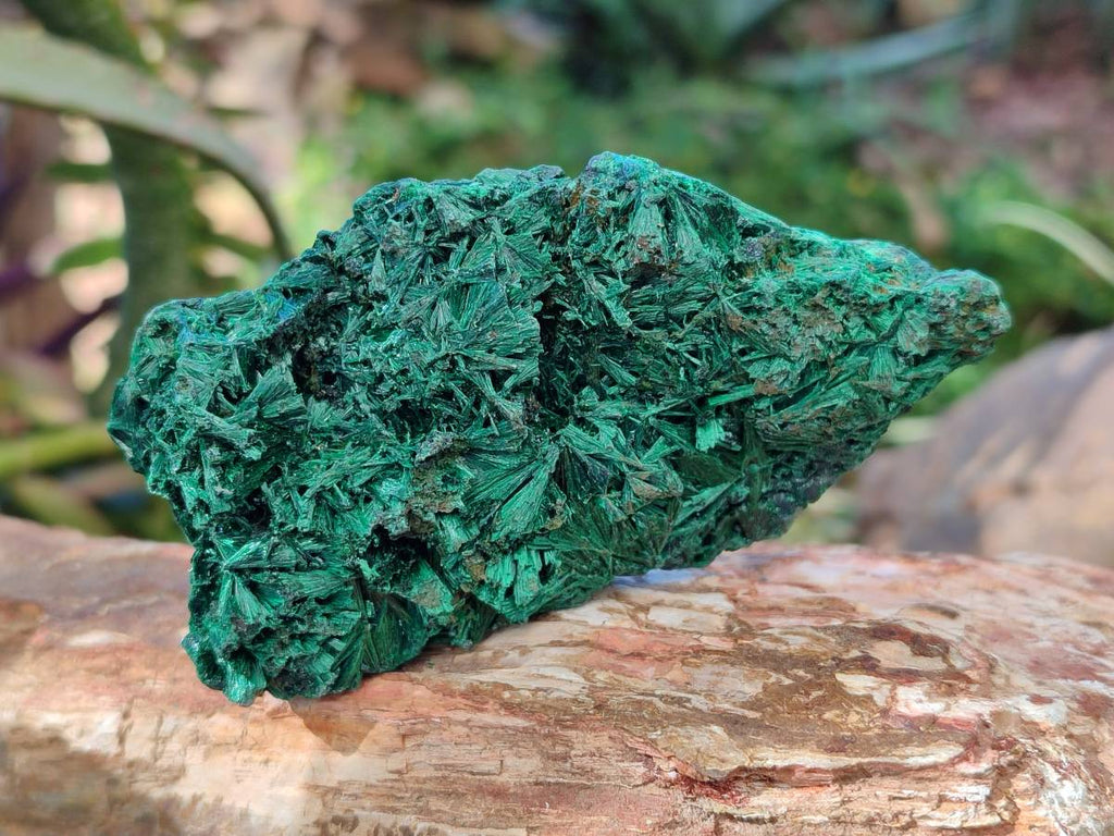 Natural Silky Malachite Specimens x 6 From Kasompe, Congo - Toprock Gemstones and Minerals 