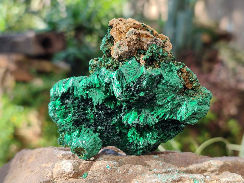 Natural Silky Malachite Specimens x 6 From Kasompe, Congo - Toprock Gemstones and Minerals 
