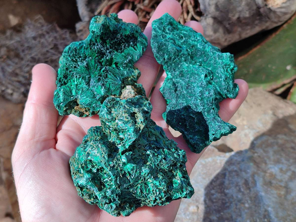 Natural Silky Malachite Specimens x 6 From Kasompe, Congo - Toprock Gemstones and Minerals 
